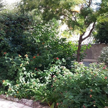 Central avec Jardin Cannes Extérieur photo